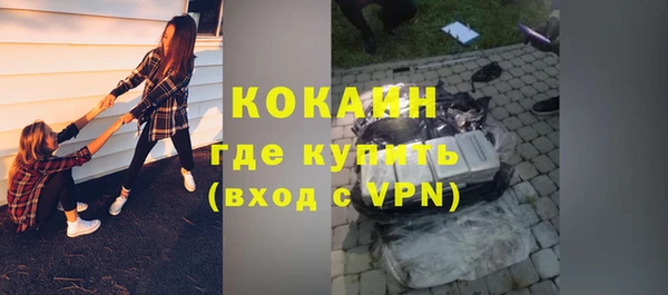 крисы Алексин