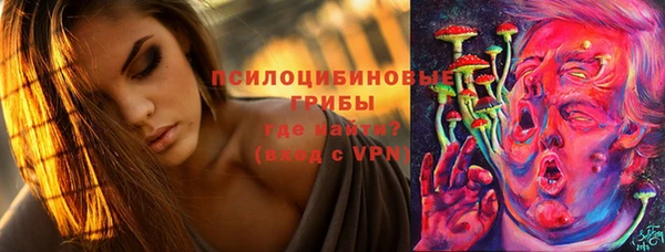 сатива Алексеевка