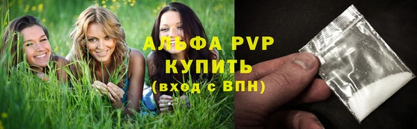 крисы Алексин